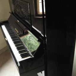 Pianono C. Bechstein