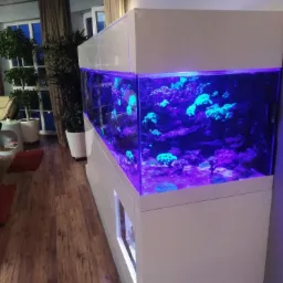 Duże akwarium morskie wbudowane w białą zabudowę meblową, oświetlone intensywnym niebiesko-fioletowym światłem, widoczne rośliny w białych donicach w tle.