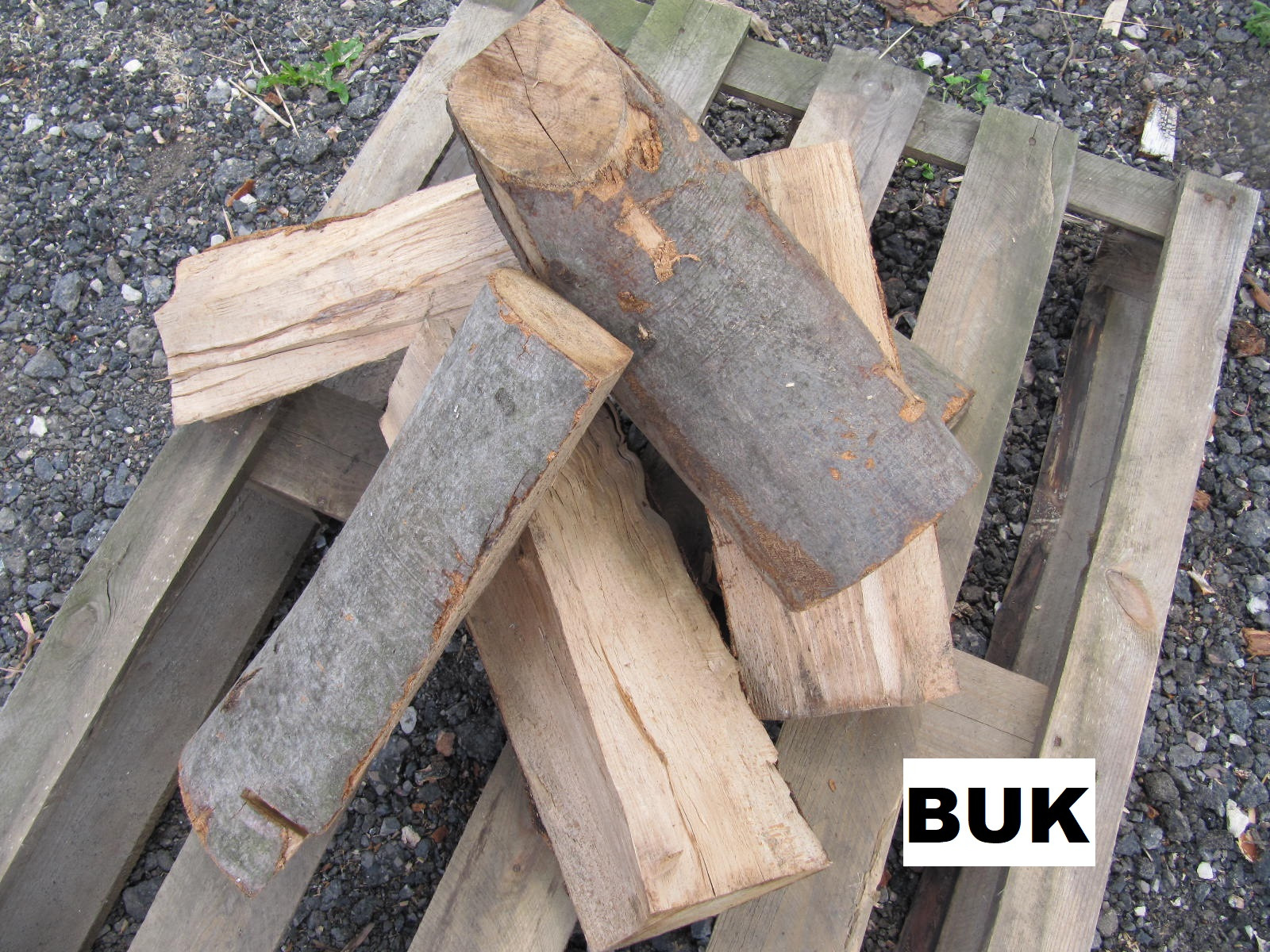 Kawałki pociętego drewna bukowego ułożone na szarej, drewnianej palecie na tle żwirowego podłoża. Na jednym z kawałków drewna widoczny wycięty fragment.