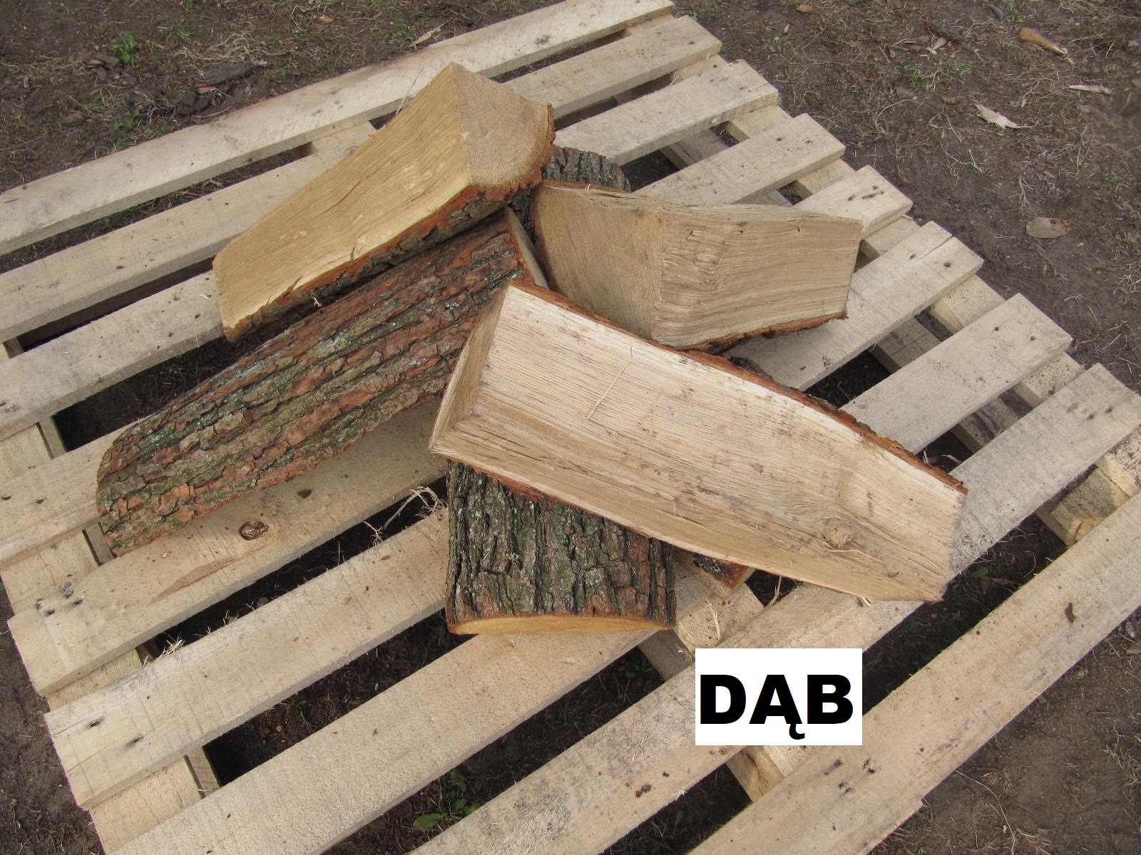 Klocki drewna dębowego z korą i bez kory ułożone na drewnianej palecie, widok z góry.