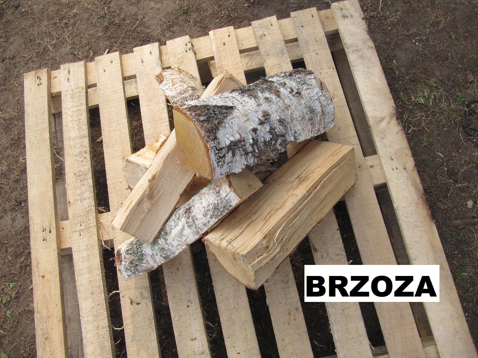 Porąbane kawałki drewna brzozowego z korą, ułożone na drewnianej palecie, widoczne tło z ziemią i resztkami roślinności.
