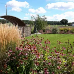 Starannie utrzymany ogród z równo przystrzyżonym trawnikiem, rabatami z jeżówkami purpurowymi i ozdobnymi trawami, oraz zadaszeniem nad drewnianym płotem w tle.