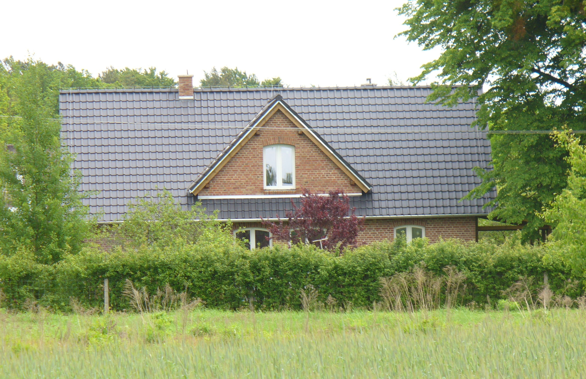 Dom z ciemnoszarą dachówką karpiówką, widoczny zza zieleni. Dach dwuspadowy z oknem w szczycie. Ceglana elewacja częściowo zasłonięta żywopłotem.