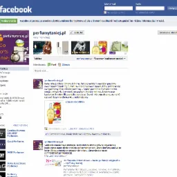 Facebook, Mailing Reklamowy, Marketing Szeptany, Kampanie AdWors