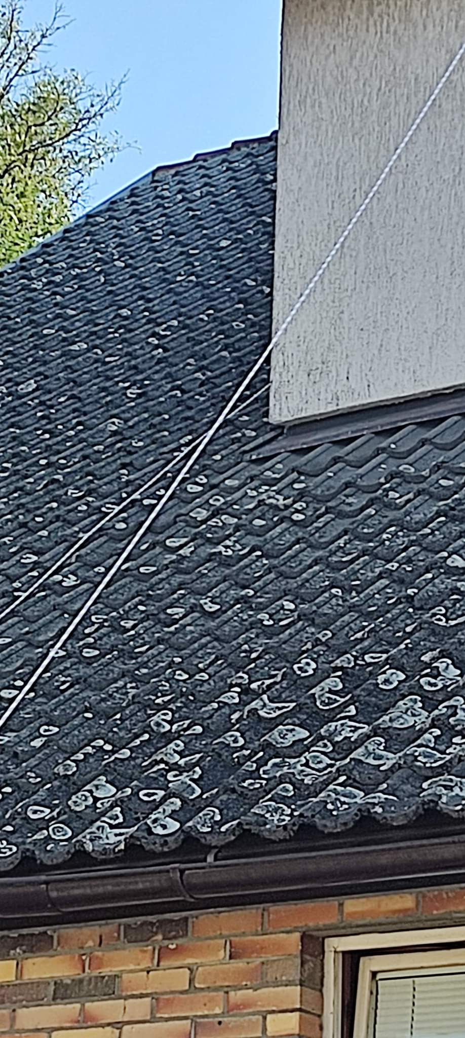 Ciemny dach pokryty białymi plamami, prawdopodobnie po czyszczeniu, z widoczną rynną i fragmentem ściany budynku z cegły.