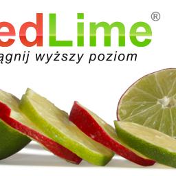 AIP pion RedLime - Usługi Reklamowe Katowice