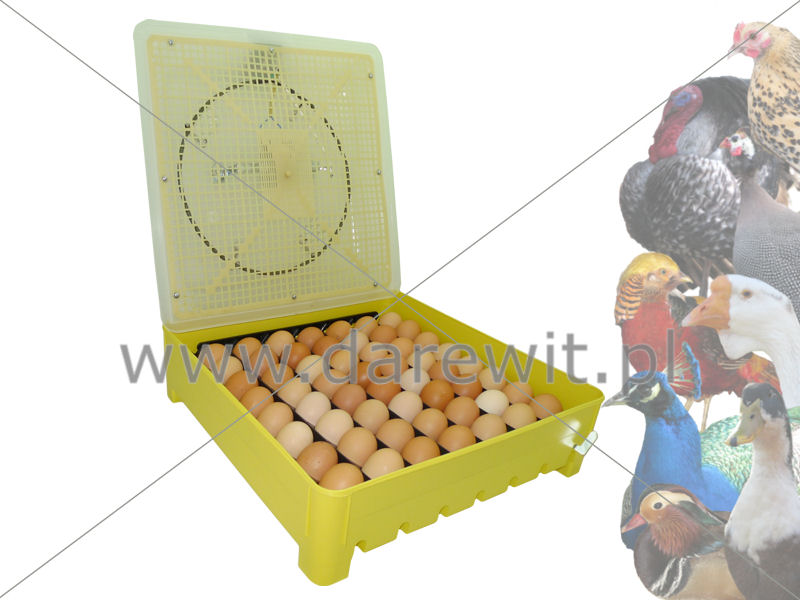 Żółty inkubator RO-2P PILOT z elektronicznym sterownikiem, wentylatorem i grzałką, wypełniony brązowymi jajami, na tle kolażu różnych gatunków drobiu.