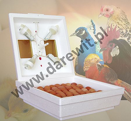 Inkubator Klujnik Wylęgarka KWOCZKA - do 80 jaj kury. Energooszczędny