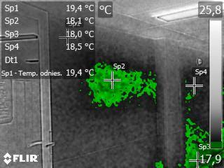 Termogram ściany z zaznaczonymi punktami pomiaru temperatury i obszarami o podwyższonej wilgotności w kolorze zielonym, widoczny fragment drzwi po lewej stronie.