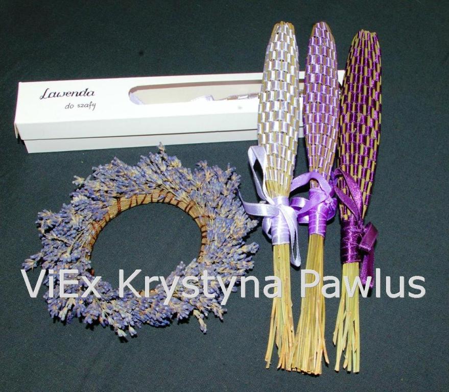 Lawenda do szafy