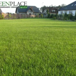 Zakładanie trawnika z siewu