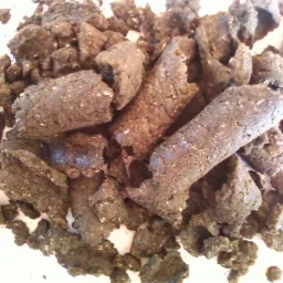 Pellet w formie Chipsa