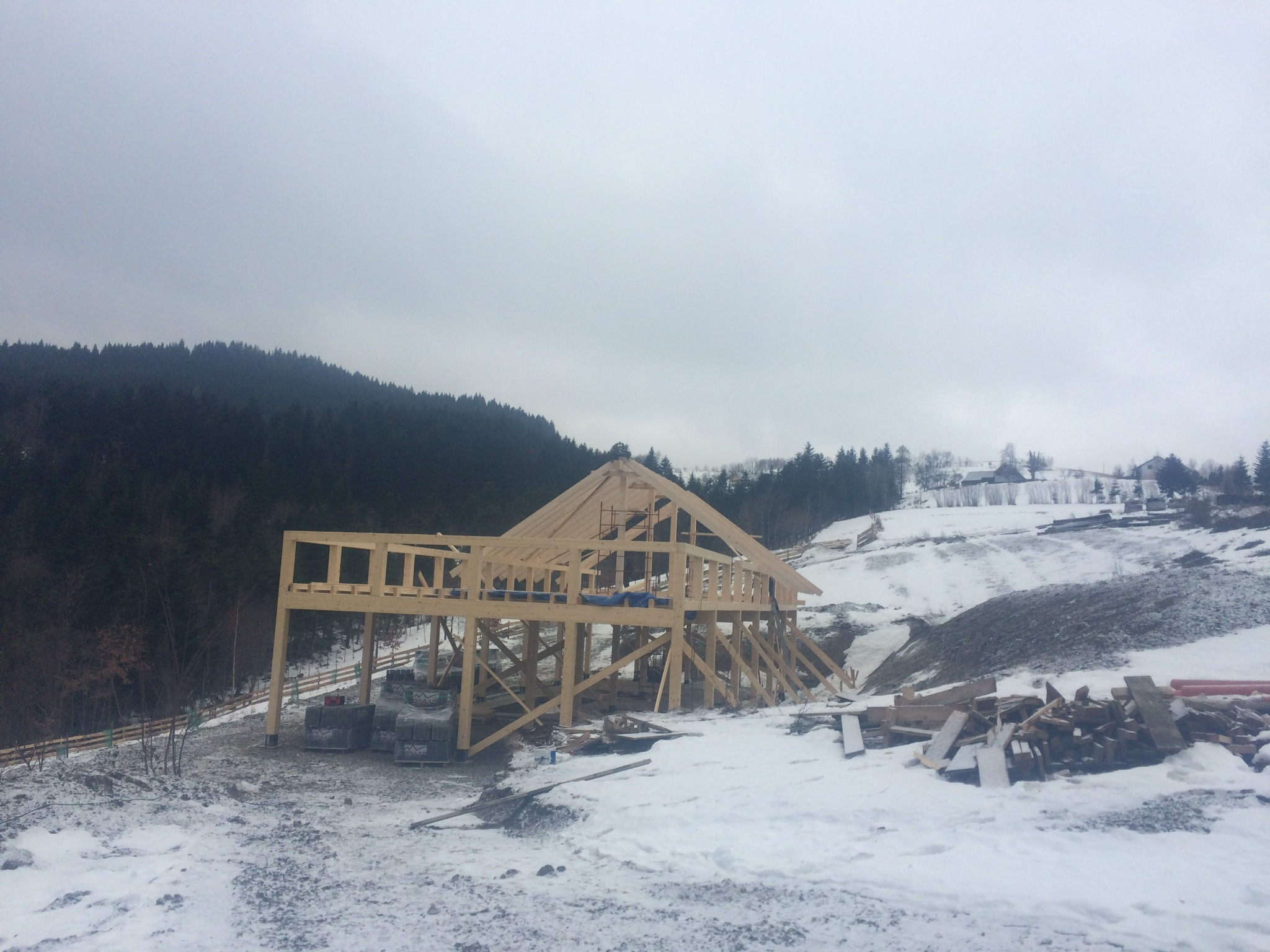 Konstrukcja szkieletowa domu w trakcie budowy, drewniane elementy na tle zimowego krajobrazu z lasem w oddali, pochmurne niebo.