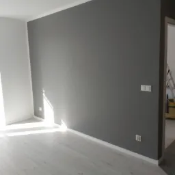 Pomieszczenie po malowaniu z szarą ścianą, białym sufitem i jasną podłogą; widoczny kontakt i włącznik, w tle drabina malarska.