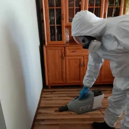 Osoba w kombinezonie ochronnym dezynfekuje pomieszczenie za pomocą zamgławiacza. W tle widoczna drewniana komoda i ściana.