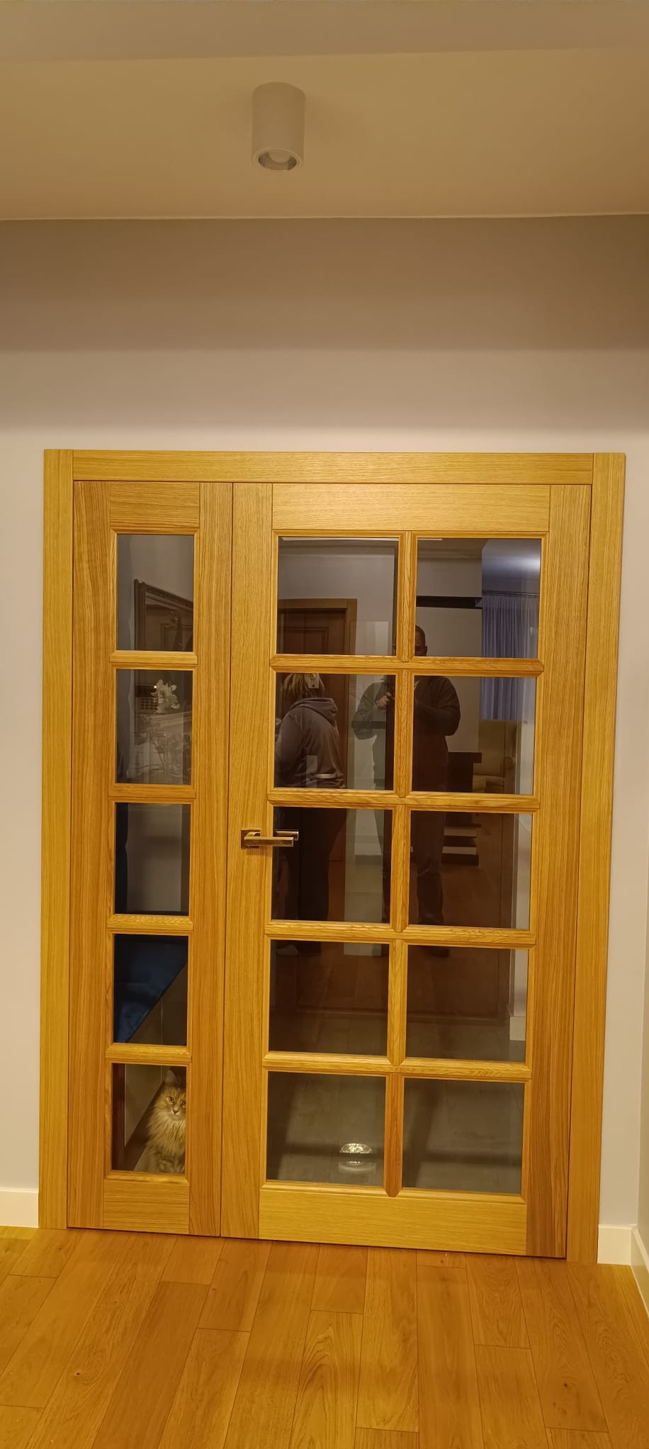 Drewniane, przeszklone drzwi wewnętrzne z widocznym kotem w jednym z okienek. W tle widoczne odbicia osób i fragmenty wnętrza.