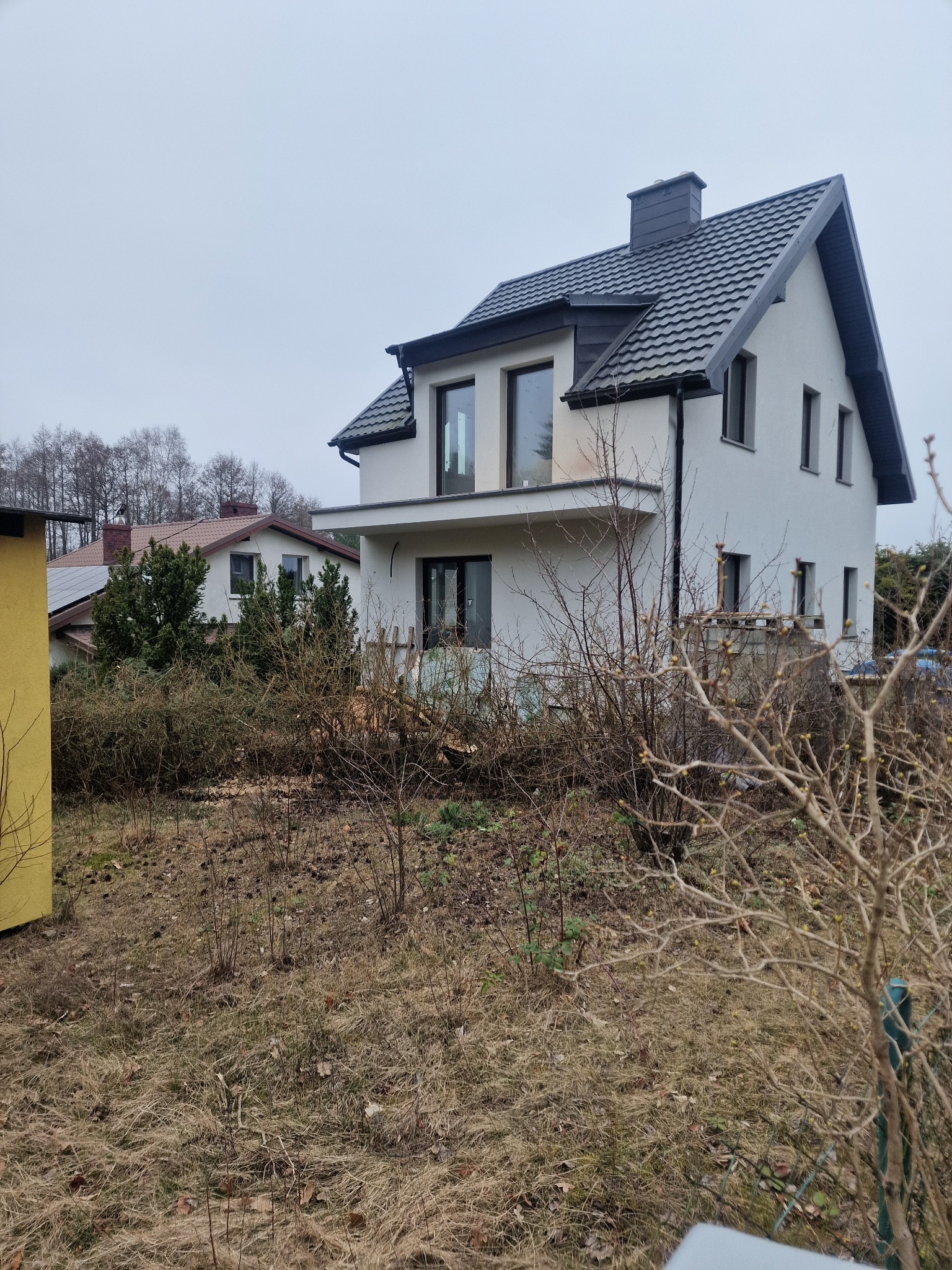 Ogród przed domem z widocznymi śladami po wycince krzewów i przygotowaniami do dalszych prac ogrodniczych. Widoczne ścięte pnie i gałęzie.