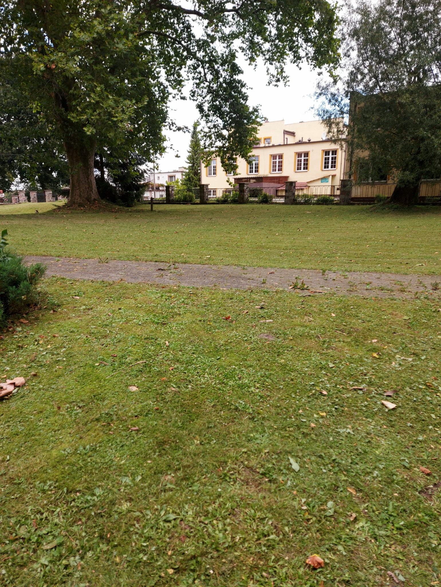 Rozległy trawnik z alejką i budynkiem w tle, otoczony drzewami. Widoczne opadłe liście na trawie. Duże drzewo po lewej stronie kadru. Lekko pochmurna pogoda.