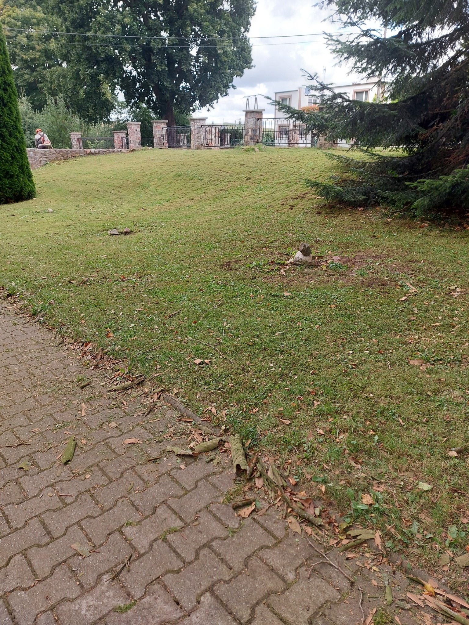Zielony trawnik z resztkami po przycinaniu drzew, widoczne fragmenty gałęzi i liści na trawie i kostce brukowej. W tle drzewa i ogrodzenie.