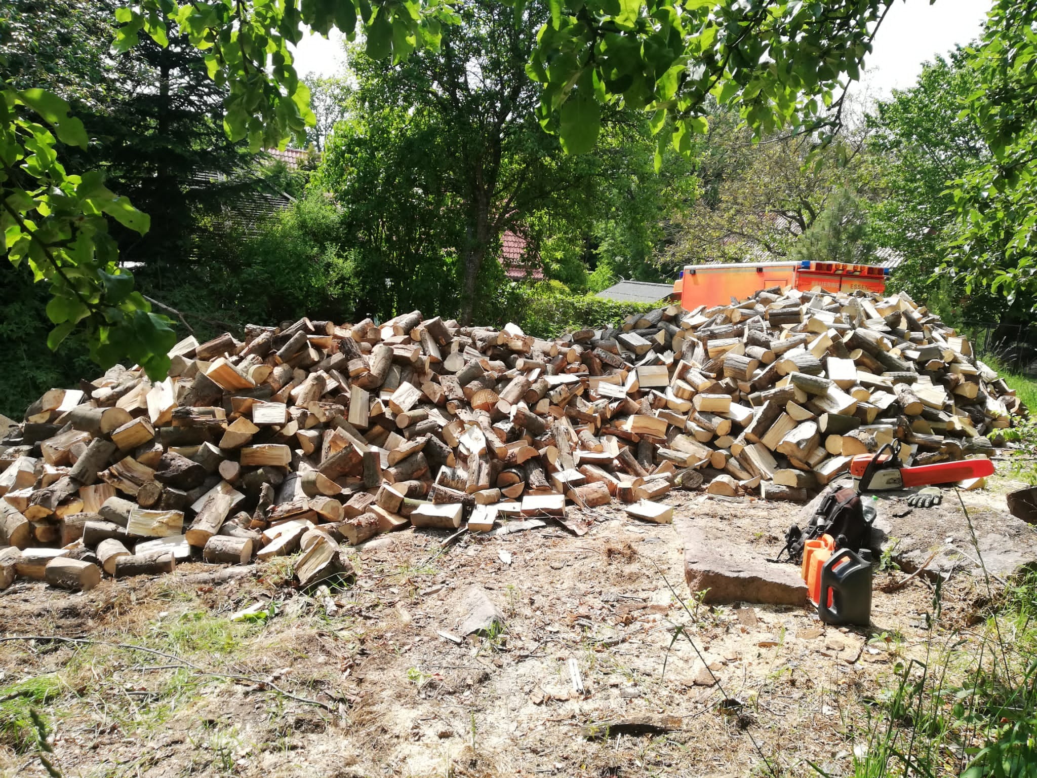 Stos pociętego drewna na trawie, obok leżą: piła łańcuchowa, kanistry. W tle zieleń drzew i budynek z pomarańczowym dachem. Słoneczny dzień.