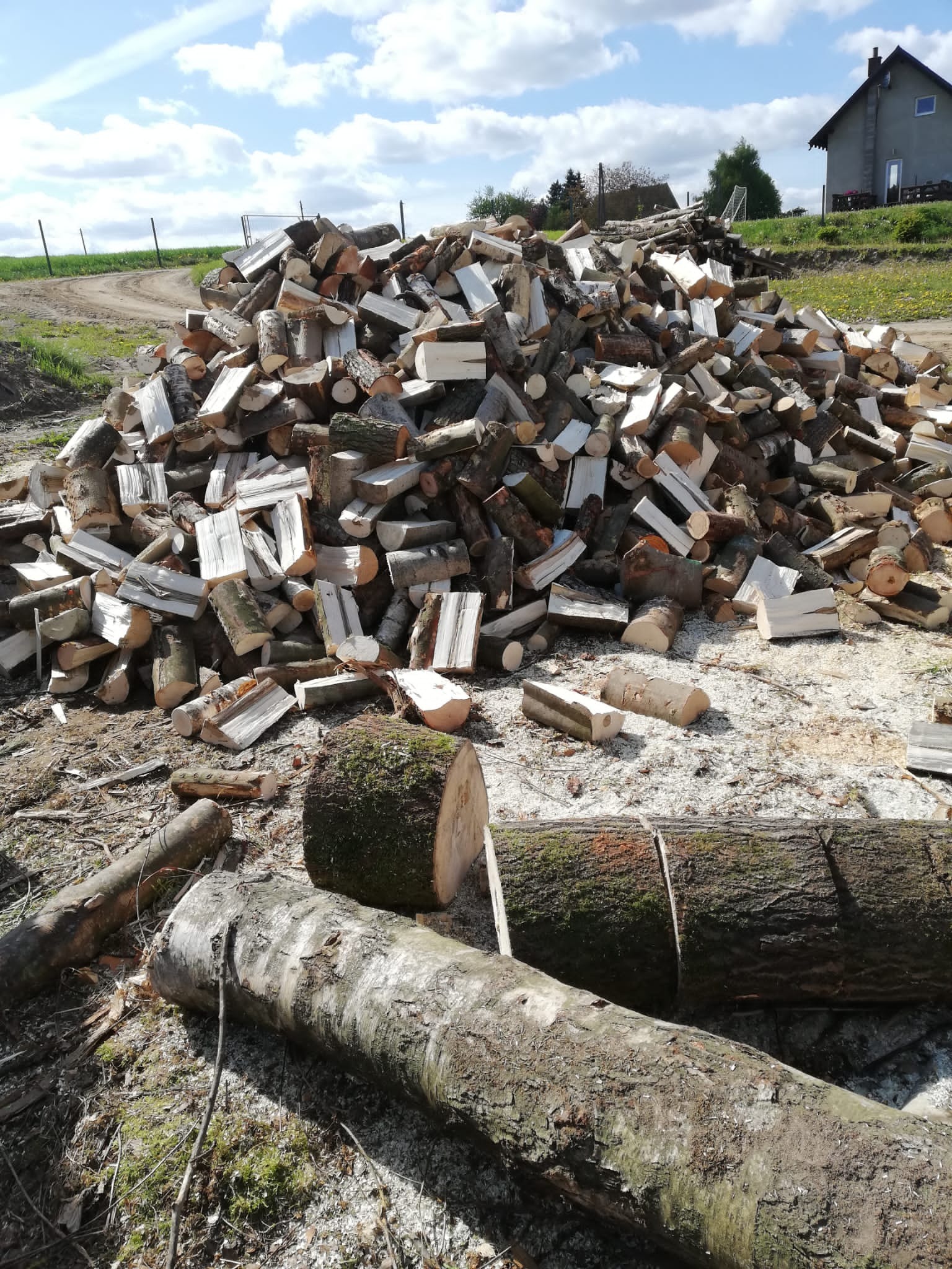 Stos pociętego drewna opałowego na zewnątrz, z widocznymi kawałkami kory i świeżego drewna, w tle zielona trawa i budynek. Praca po wycince drzew.