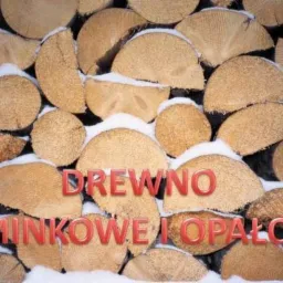 Ułożone w stos drewno opałowe, częściowo przykryte śniegiem. Widoczne przekroje pni o jasnej barwie i wyraźnej strukturze.