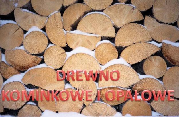 Ułożone w stos drewno opałowe, częściowo przykryte śniegiem. Widoczne przekroje pni o jasnej barwie i wyraźnej strukturze.