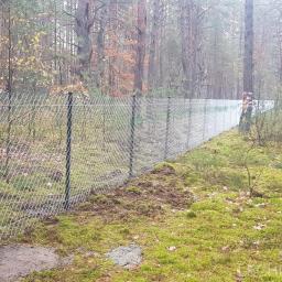 LECHDOM GARWOLIN - Nowo postawione ogrodzenie z siatki leśnej z czarnymi słupkami na zalesionym terenie z mchem, w tle częściowo widoczna biała plandeka zabezpieczająca.