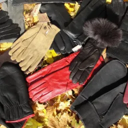 Kolekcja różnorodnych rękawic skórzanych i materiałowych w odcieniach czerni, brązu, czerwieni i szarości, ułożonych na tle opadłych, jesiennych liści klonowych.