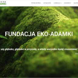 Strona internetowa dla Fundacji Eko-Adamki