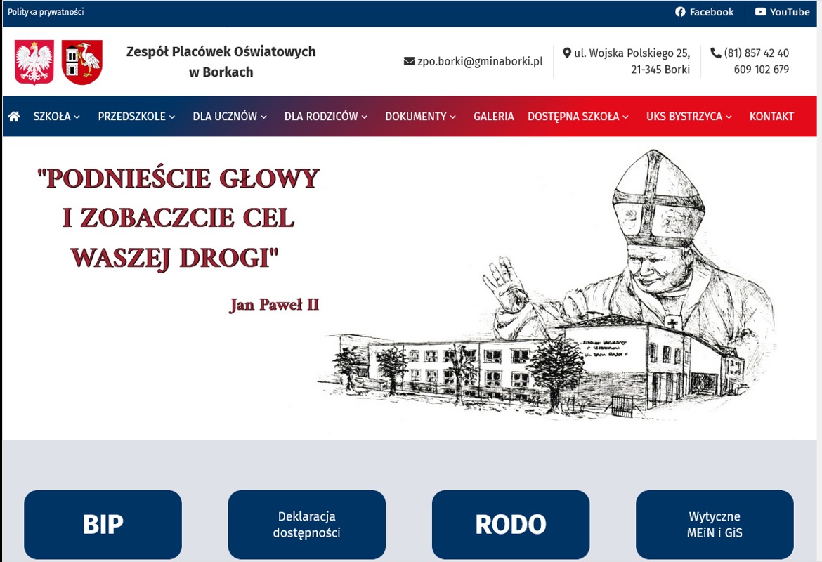 Strona internetowa dla Zespołu Placówek Oświatowych w Borkach