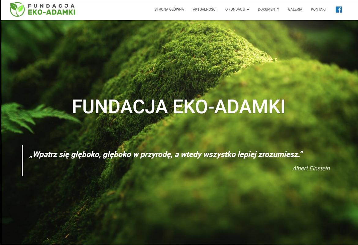 Strona internetowa dla Fundacji Eko-Adamki