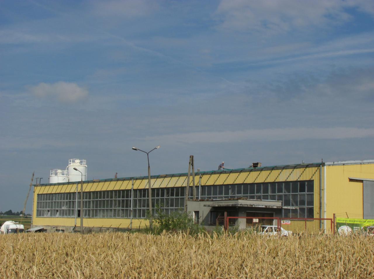 Żółta hala przemysłowa z rzędem okien, widoczni robotnicy na dachu, na pierwszym planie pole zboża.