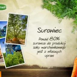 Slajd prezentacji PowerPoint z kolażem zdjęć zbioru marchwi i tekstem informującym, że ponad 80% surowca do produkcji soku marchewkowego pochodzi z własnych upraw, obok leży pęczek świeżych marchwi.