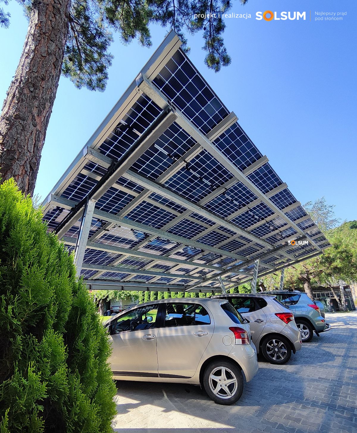 Zadaszenie parkingowe z paneli fotowoltaicznych Solsum, trzy zaparkowane samochody w cieniu, widok z dołu z perspektywy krzewu.