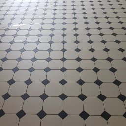 Glazurnik Kamieniec Wrocławski  4