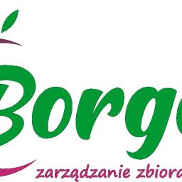 www.borgaj.pl