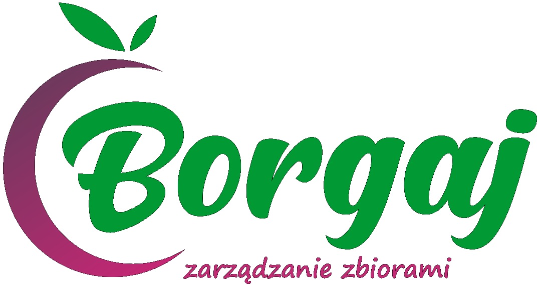 Logo firmy Borgaj z zielonym napisem i fioletowym półksiężycem, pod spodem hasło 'zarządzanie zbiorami'.