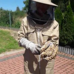 Osoba w kombinezonie ochronnym i kapeluszu z siatką trzyma w rękawicach plaster pszczeli na tle kostki brukowej i zieleni.