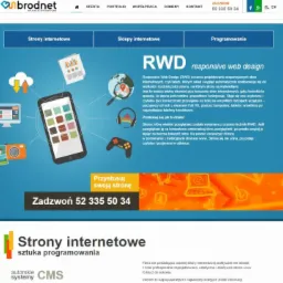 Responsywna strona internetowa (RWD) na urządzeniach: smartfon, tablet, komputer. Grafika prezentuje dostosowanie układu do różnych ekranów. Brodnet.