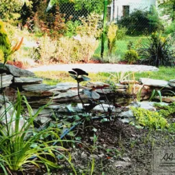 Ogród z oczkiem wodnym wyłożonym łupkiem, z młodymi roślinami i systemem nawadniania w ziemi, w tle trawnik i ogrodzenie z siatki.