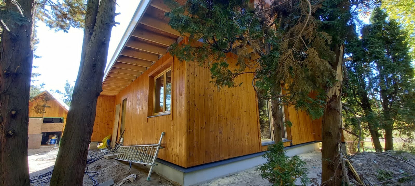 Surowy stan zewnętrznej drewnianej elewacji domu w trakcie budowy, widoczna drabina oparta o ścianę, w tle drzewa i częściowo widoczny drugi budynek w stanie surowym.