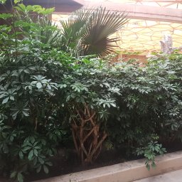 Projektowanie ogrodów Wrocław 4