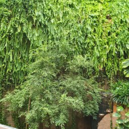 Projektowanie ogrodów Wrocław 2