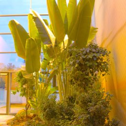 Projektowanie ogrodów Wrocław 3