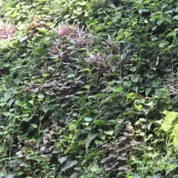 Gęsta, pionowa ściana roślin z różnorodnymi gatunkami, w tym pnącza i rośliny o purpurowych liściach, tworząca naturalną, zieloną kompozycję.