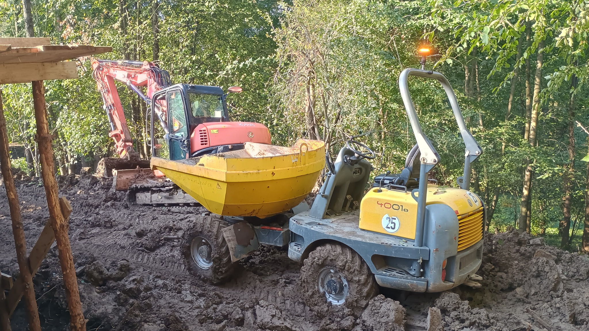 Żółta wywrotka i mini koparka Kubota w terenie leśnym, podczas prac ziemnych. Maszyny umazane błotem, w tle drzewa.
