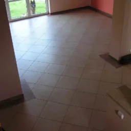 Beżowe płytki podłogowe ułożone w kwadraty, widoczne z góry, z psem rasy owczarek niemiecki patrzącym przez okno w tle i starym radiem przy ścianie.