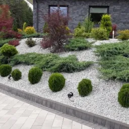 Renowacja skarp (po zakończeniu naszej pracy)