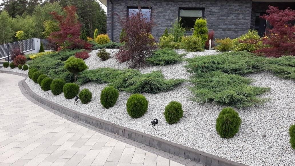 Renowacja skarp (po zakończeniu naszej pracy)